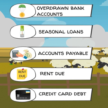 #16: Your Debt/Equity Position