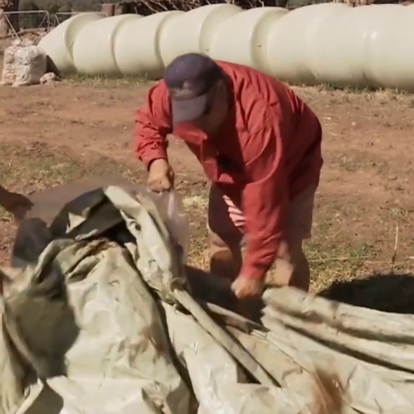 03 Plastics: Silage Wrap