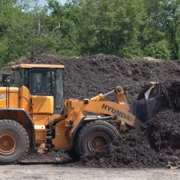 19 Dead Stock: Composting